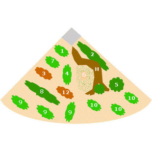 Starter pakket Trigon 350