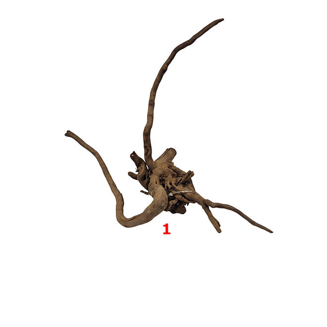 HS Aqua Dark Spider Wood medium