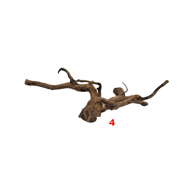HS Aqua Dark Spider Wood medium