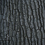 Juwel Structuurachterwand STR600 50x60 cm