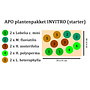 APO plantenpakket INVITRO (starter) (PlantExpress)