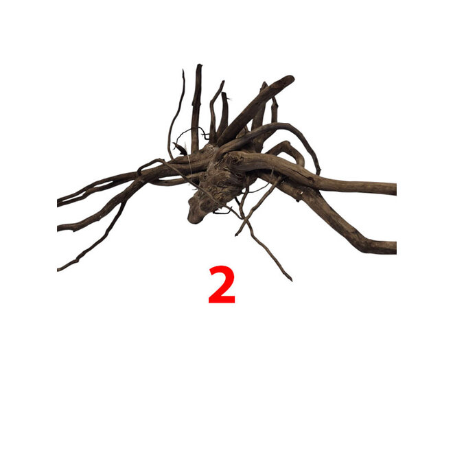 HS Aqua Dark Spider Wood medium