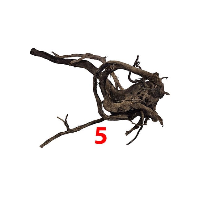 HS Aqua Dark Spider Wood medium