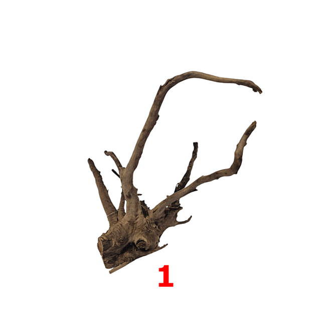 HS Aqua Dark Spider Wood small