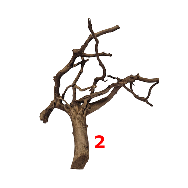 HS Aqua Dark Spider Wood small