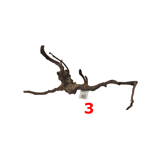HS Aqua Dark Spider Wood small