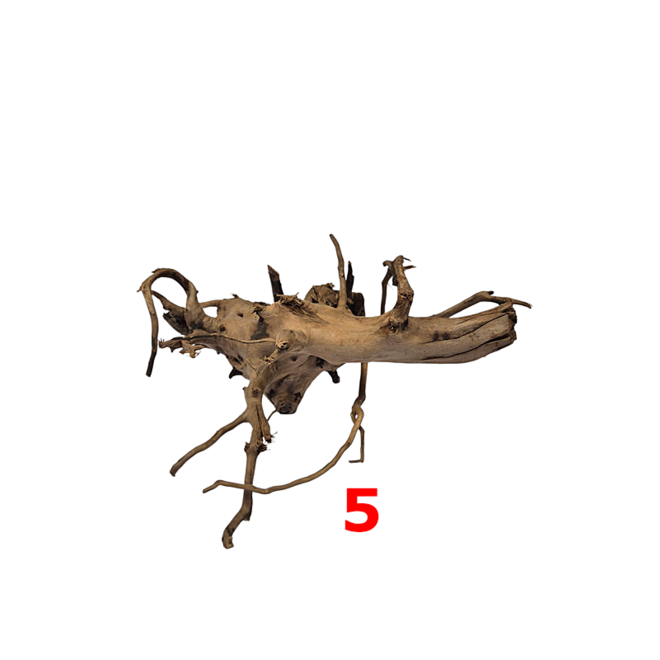 HS Aqua Dark Spider Wood small
