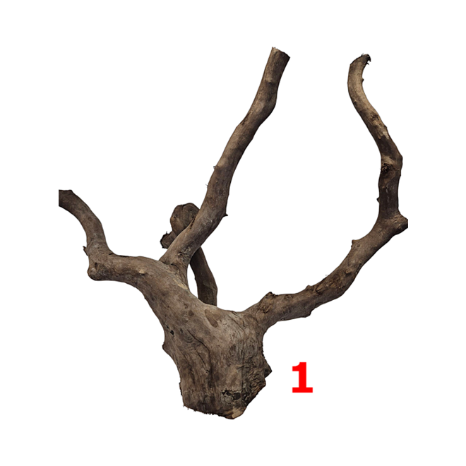 HS Aqua Dark Spider Wood extra large