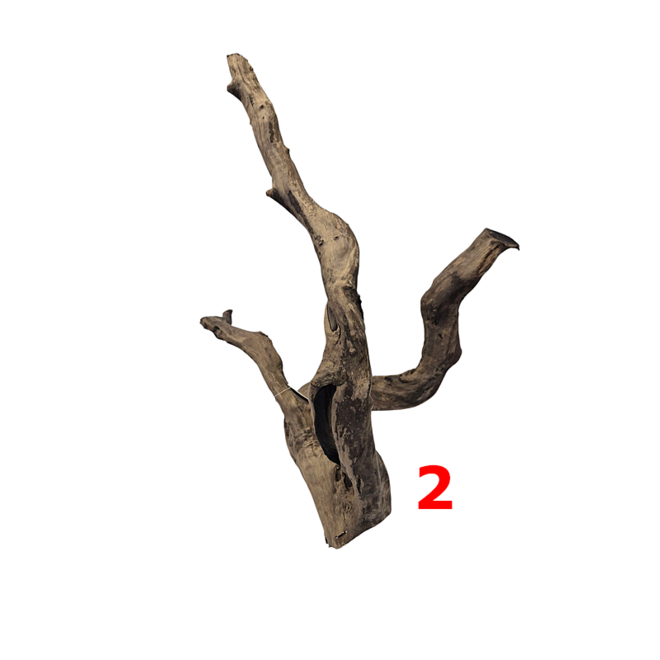 HS Aqua Dark Spider Wood extra large