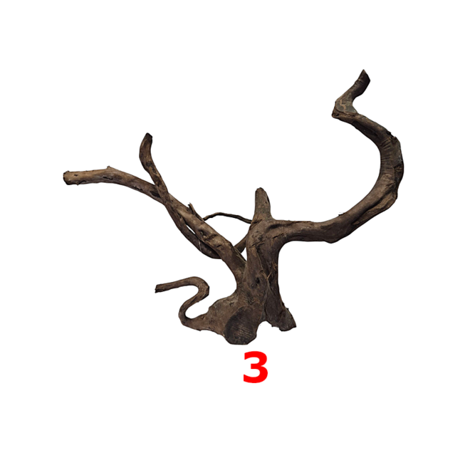 HS Aqua Dark Spider Wood extra large