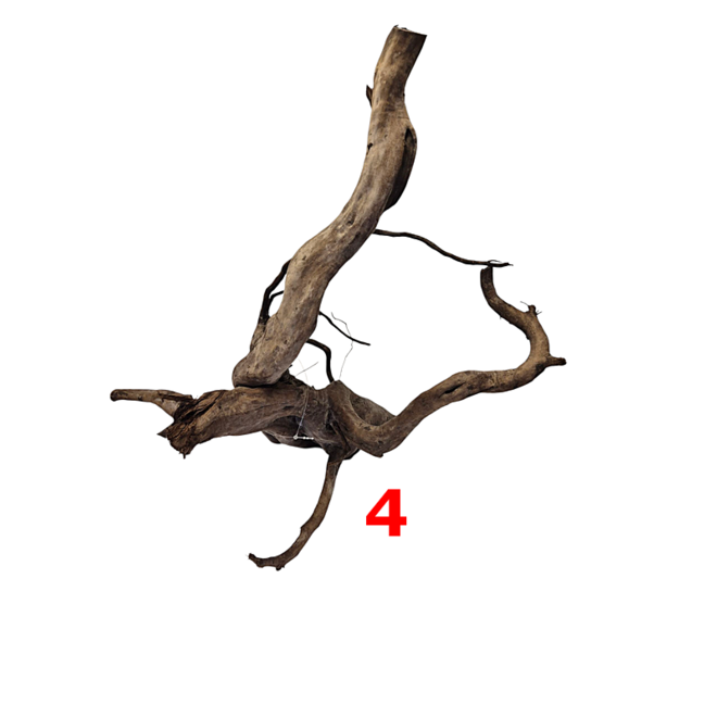 HS Aqua Dark Spider Wood extra large