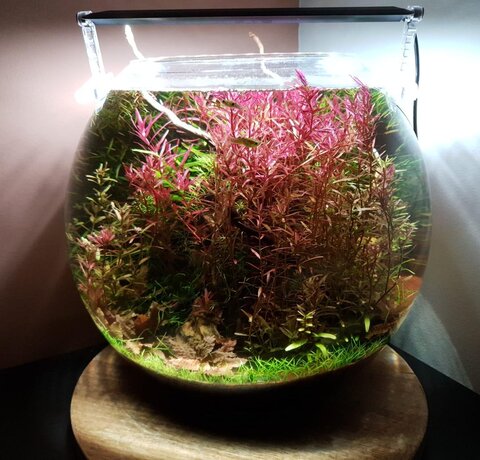 No filter TWEE jaar later