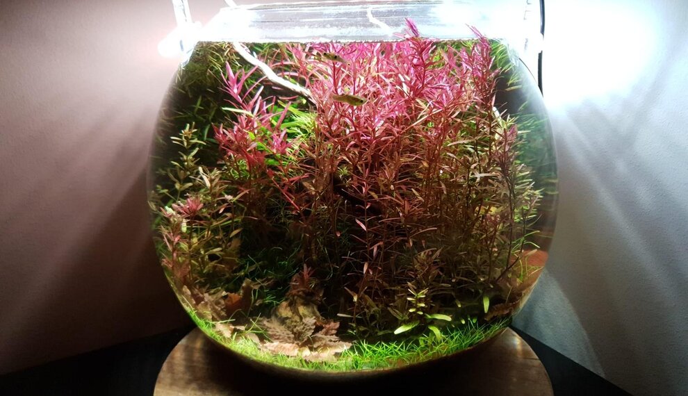 No filter TWEE jaar later