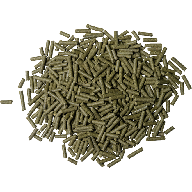 Dennerle Shrimp King Cambarellus