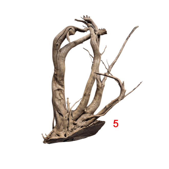 Aquadeco Dark Moor Wood Large OP=OP