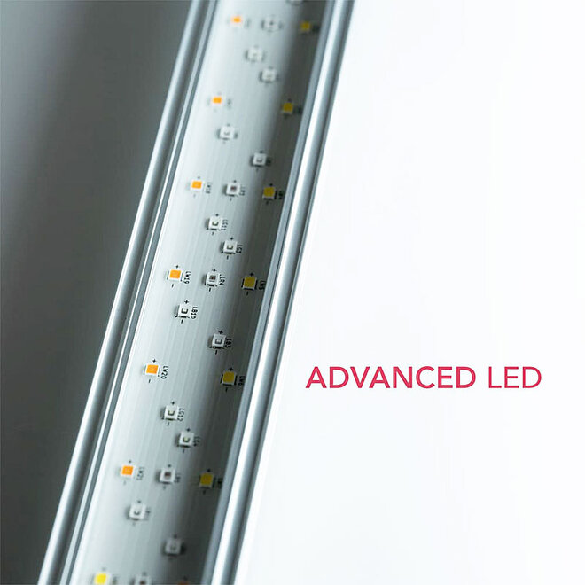 Twinstar Light G Line 90G V3.0