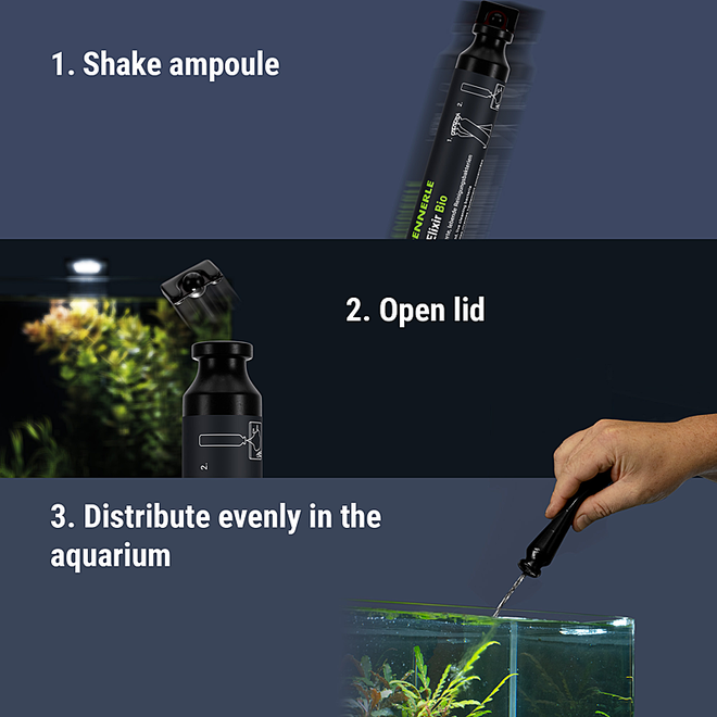 Dennerle Bacto Elixir Bio 50 ml