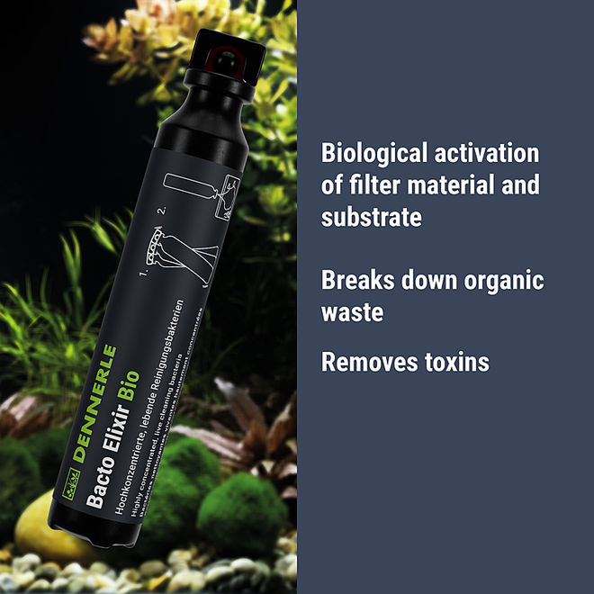 Dennerle Bacto Elixir Bio 50 ml