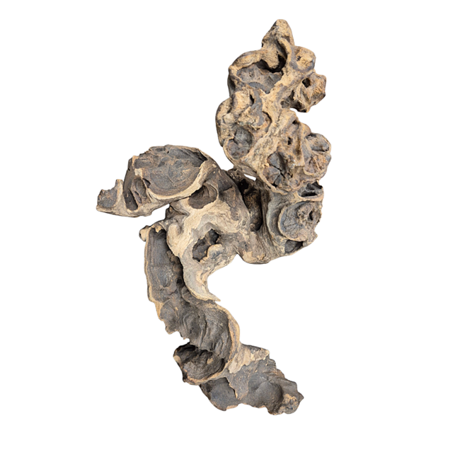 Aquadeco Savanna wood