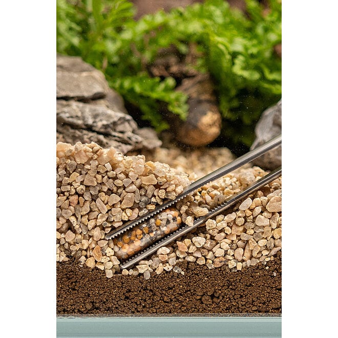 Colombo Flora Nutri Caps