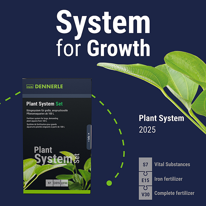 Dennerle Plant System Set
