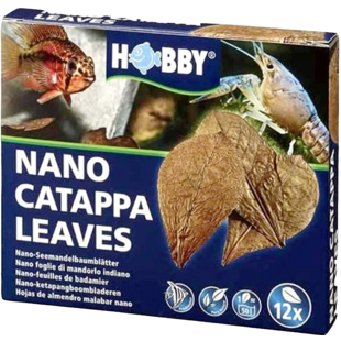 Hobby Catappa Leaves