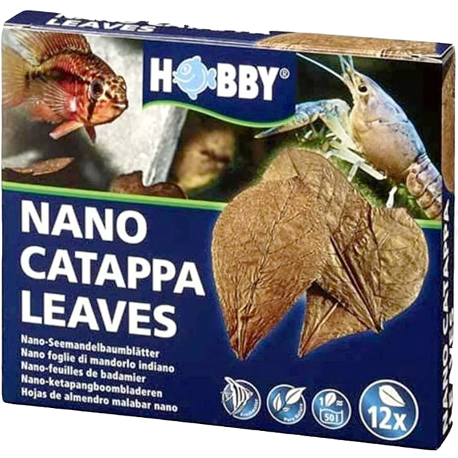 Hobby Catappa Leaves