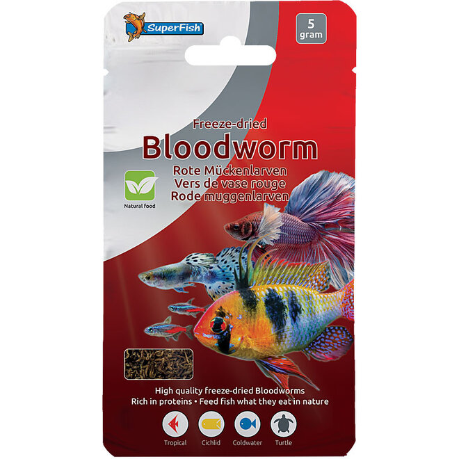 Superfish Freeze Dried Blood Worms