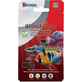 Superfish Freeze Dried Blood Worms