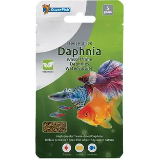 Superfish Freeze Dried Daphnia