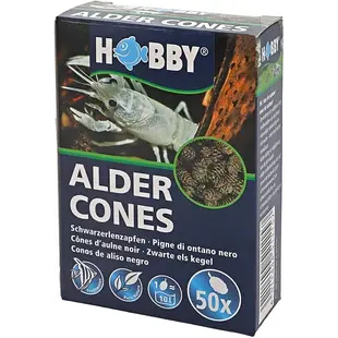 Hobby Alder Cones