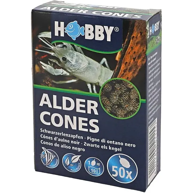 Hobby Alder Cones