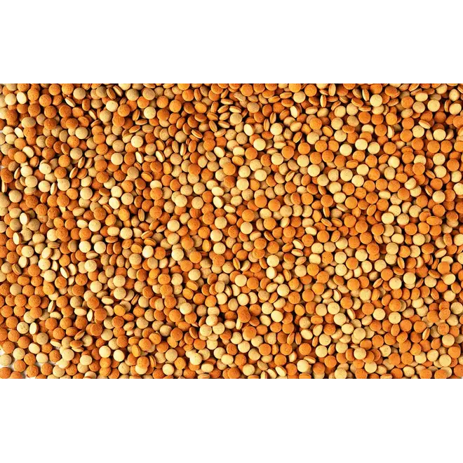 Tetra Tablets Tabimin 120 tabletten