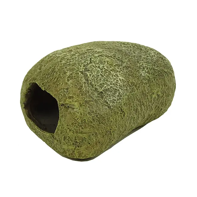 Blue Belle Pacific Stone Cave