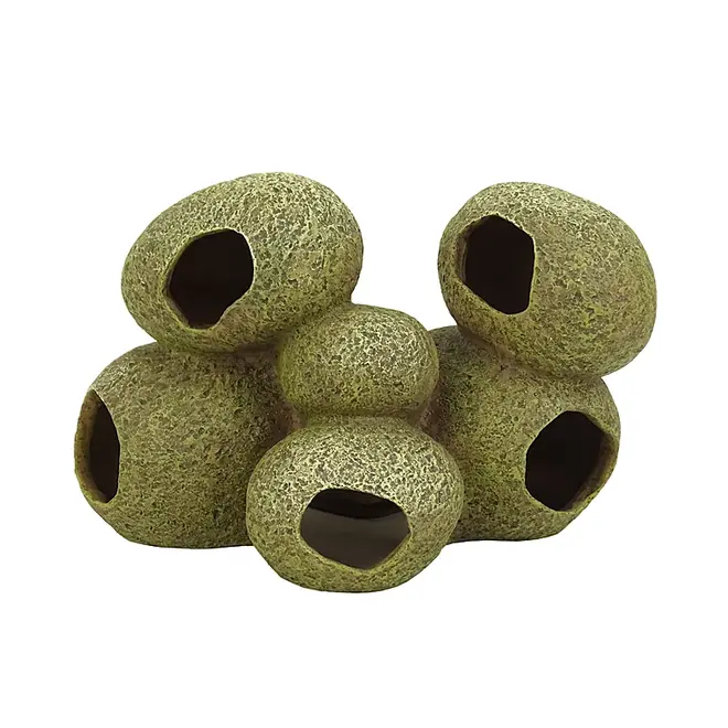 Blue Belle Pacific Stone Cave