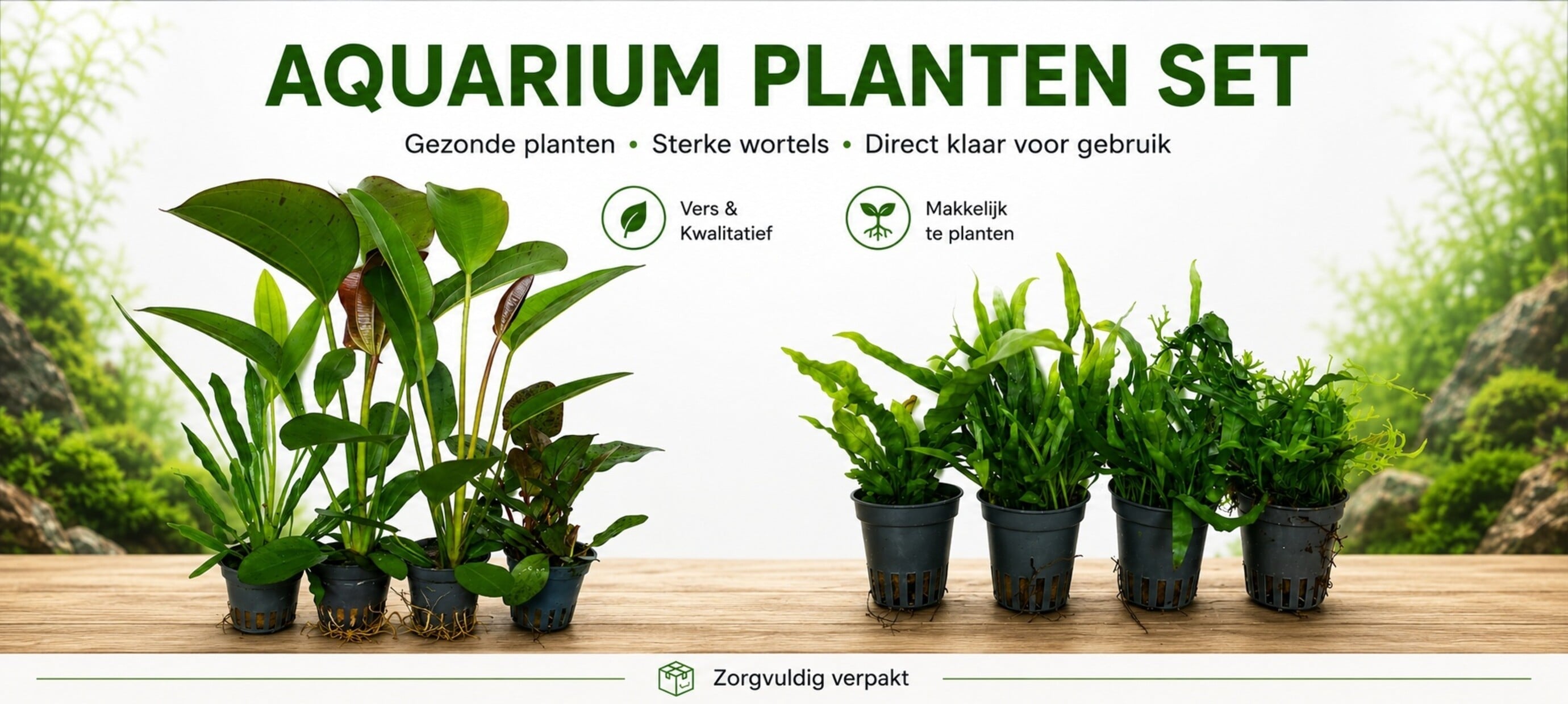 Snel planten nodig??