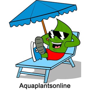 APO ZOMER Leafie Koelkastmagneet, collectors item (GRATIS bij 35,-)