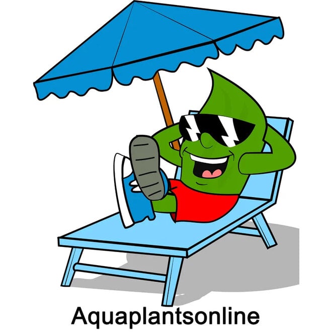 APO ZOMER Leafie Koelkastmagneet, collectors item (GRATIS bij 35,-)
