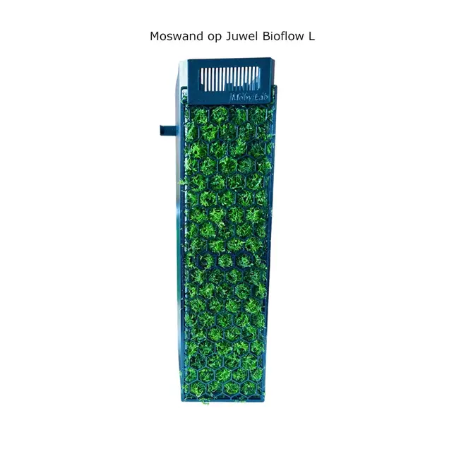 Moby Lab Moss Wall voor Juwel Bioflow