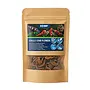 Hobby Jungle Star Flower