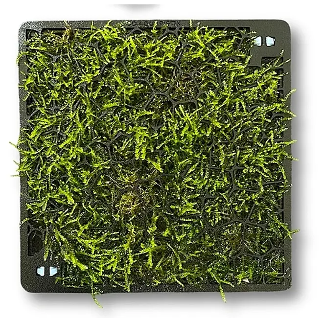 3D Aquaristik Moswand (excl. mos)