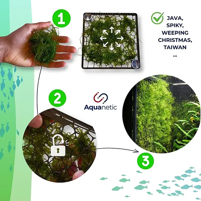 3D Aquaristik Moswand (excl. mos)