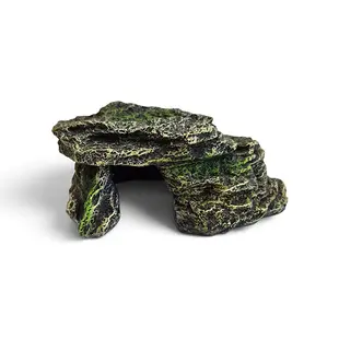 Blue Belle Pacific Moss Cave 1, 18,9x12,1x8,9 cm