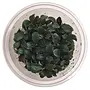 Bucephalandra ''theia red'', INVITRO bakje (PlantExpress)