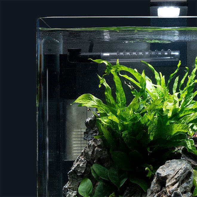 Dennerle Nano Corner Filter 40 incl. 2 filterelementen – waarvan 1 gratis