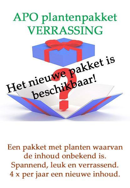 <br><br><br><br><br>