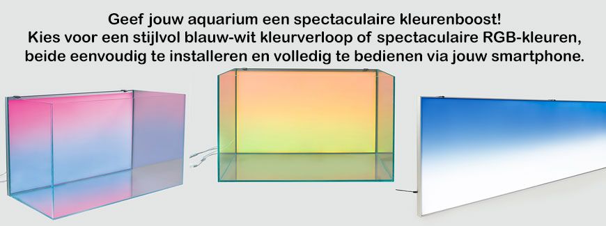 <br><br><br><br><br><br>