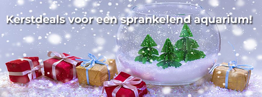 <br><br><br><br><br><br>