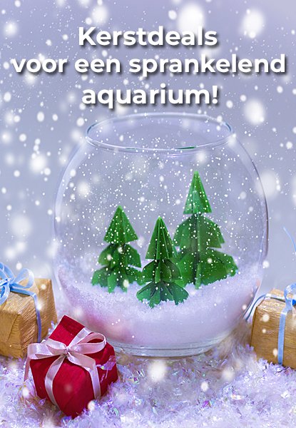 <br><br><br><br><br><br>