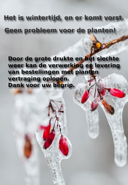 <br><br><br><br><br><br>